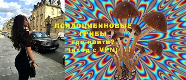ALPHA PVP Белокуриха