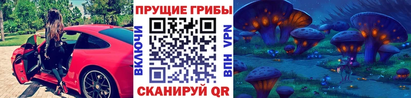 Псилоцибиновые грибы ЛСД  цены наркотик  МЕГА tor  Кунгур 